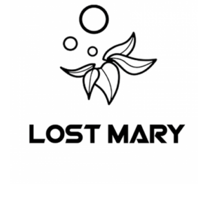 Lost Mary E-Shishas